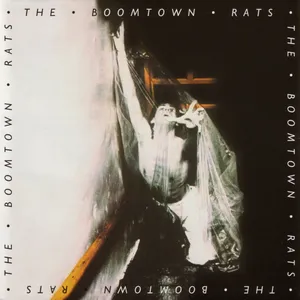 The Boomtown rats